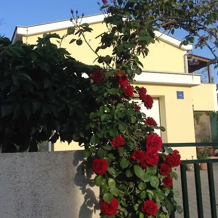 Apartman Olic